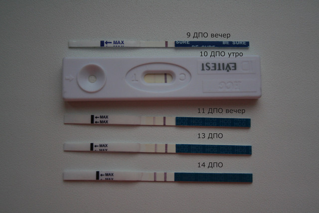 После скольких дней тест показывает беременность. Тесты после оплодотворения. Тест на беременность через 2 недели после овуляции. На какой день после овуляции тест покажет беременность. На 8 день после зачатия тест покажет беременность.