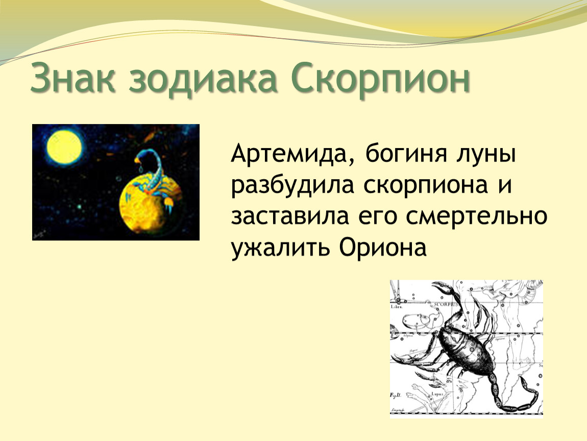 Гороскоп скорпион 2. Мой знак зодиака Скорпион. Презентация мой знак зодиака Скорпион. Презентация мой знак зодиака Скорпион для детей.