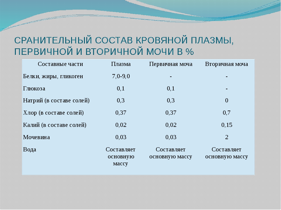 Первичная моча отличается от плазмы крови отсутствием. Остав первичной и вторичной мочи.. Состав первичной и вторичной мочи. Сравнительная характеристика первичной и вторичной мочи. Состав первичной и вторичной.