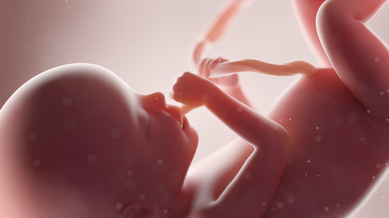 The Movements of the child in the mother's Womb