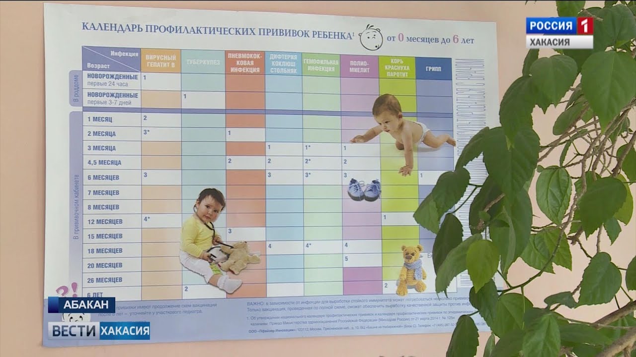 Садик после прививки. Календарь прививок. Профилактические прививки. Национальный календарь прививок для детей в России. Профилактические прививки детям.