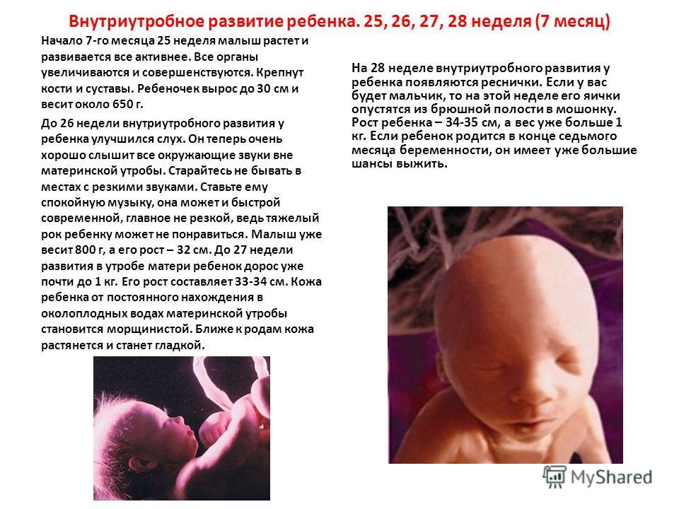 Внутриутробное развитие организма развитие после рождения. Дети на 25-26 неделе беременности. Внутриутробное развитие ребенка.