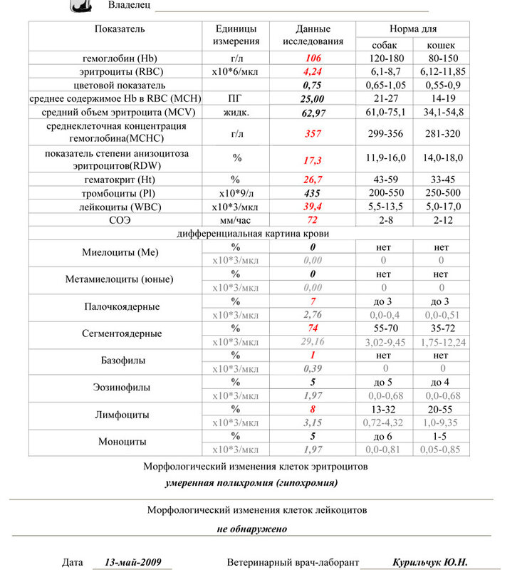 Mcv в анализе понижен