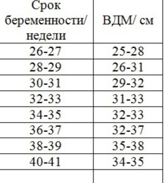 Дно матки по неделям беременности фото