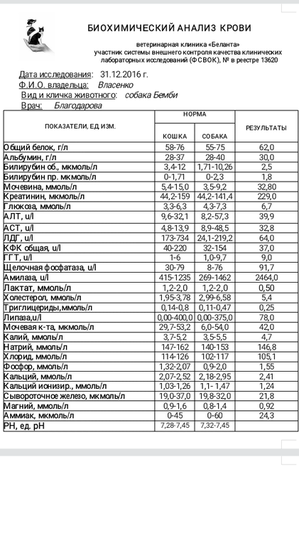 Биохимический анализ крови фото бланка