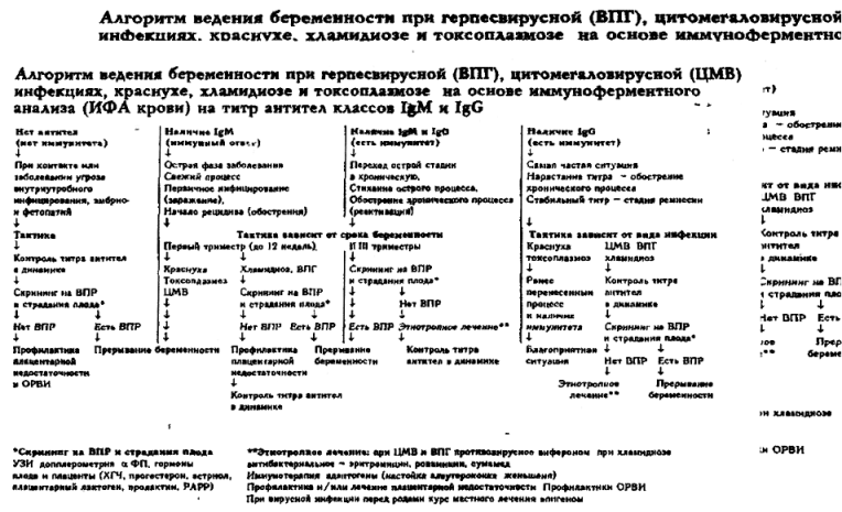 План исследований при беременности