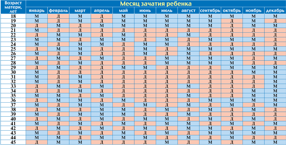 Картинка зачатия ребенка пол