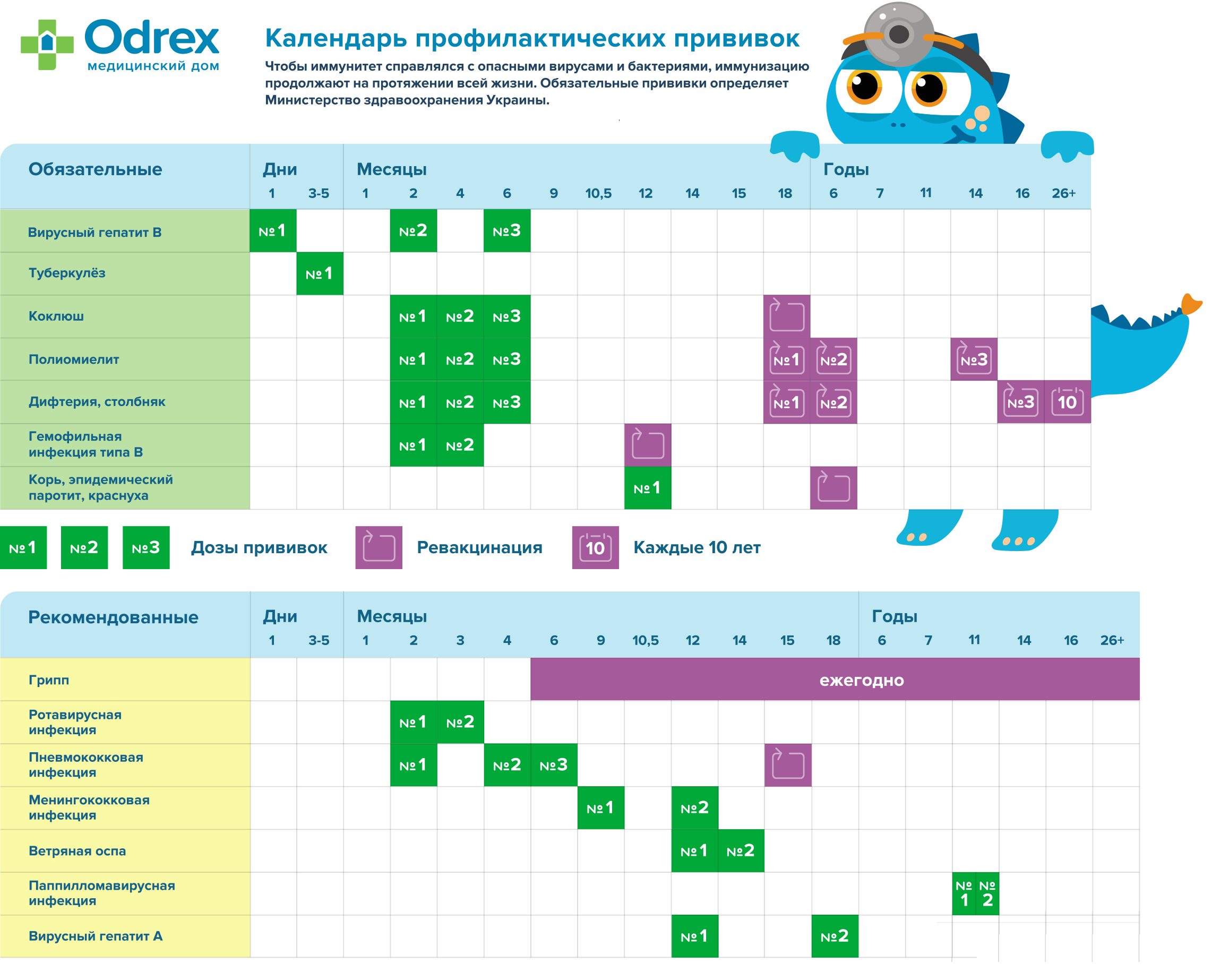 Календарь прививок фото