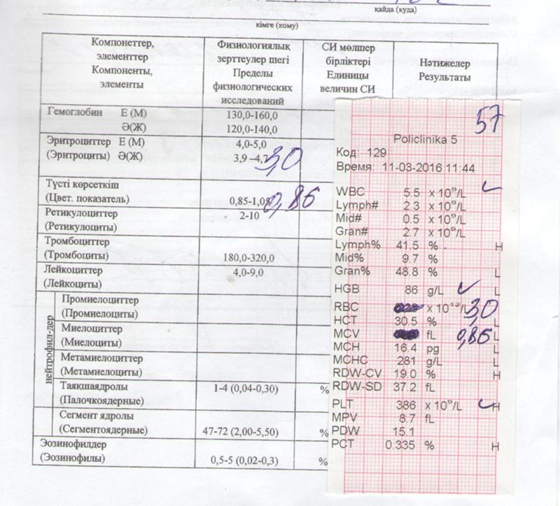 Ретикулоциты повышены