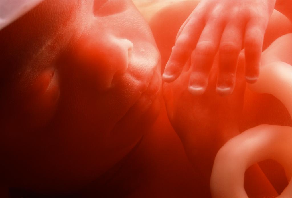Фото ребенка на 19 неделе беременности фото