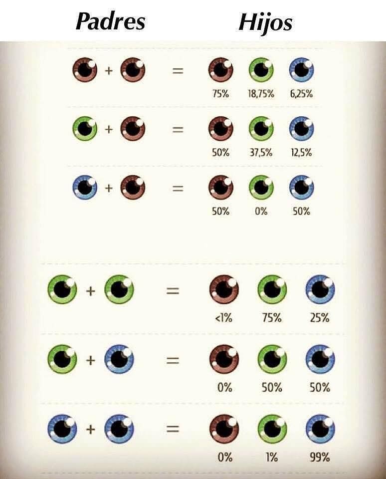 Может ли кареглазых родителей родиться голубоглазый ребенок. Таблица цвета глаз у ребенка. Цвет глаз родителей и детей. Цвет глаз ребенка. Цвет глаз родителей и детей таблица.