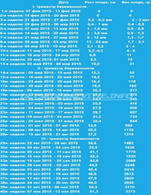 Калькулятор беременности 2024