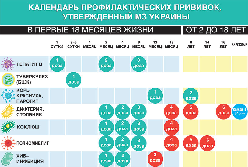График вакцинации в россии