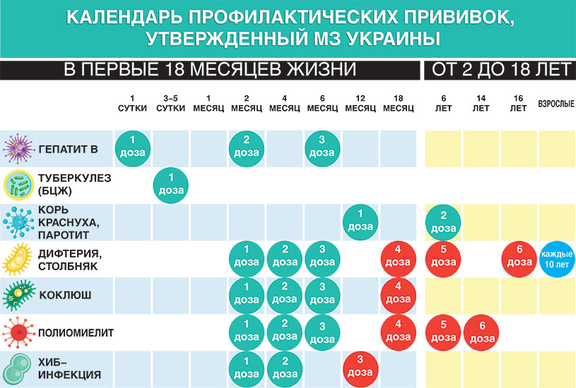 Ревакцинация 10 лет. График прививок для детей в Украине. Нац календарь прививок Украины. График прививок для детей в России. Национальный календарь прививок для детей.