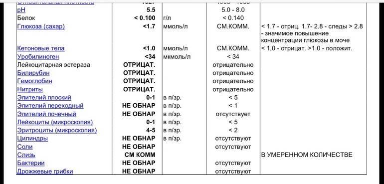 Аскорбиновая кислота в моче у женщин повышена. Аскорбиновая кислота в моче норма.