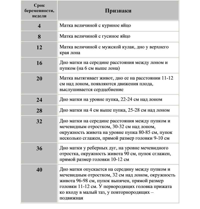 Как растет матка при беременности по неделям в картинках