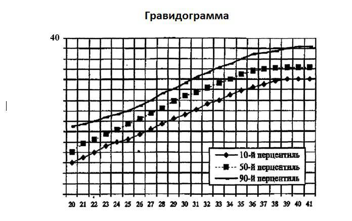 Высота стояния дна матки