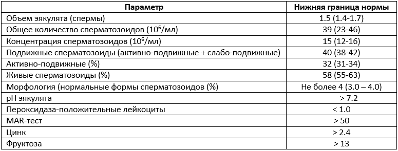 От Чего Зависит Количество Спермы