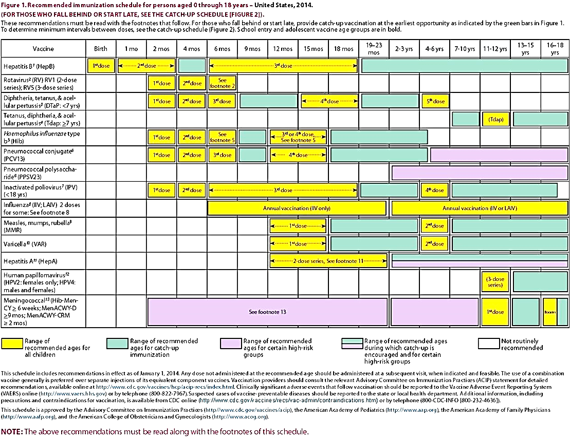 Календарь прививок от гепатита