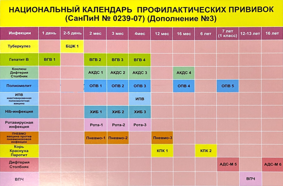 Со скольки можно ставить прививку. График прививок РФ. Календарь прививок для детей в России 2021 национальный календарь. Национальный календарь прививок 2021 для детей Россия. Прививки календарь прививок 2022.