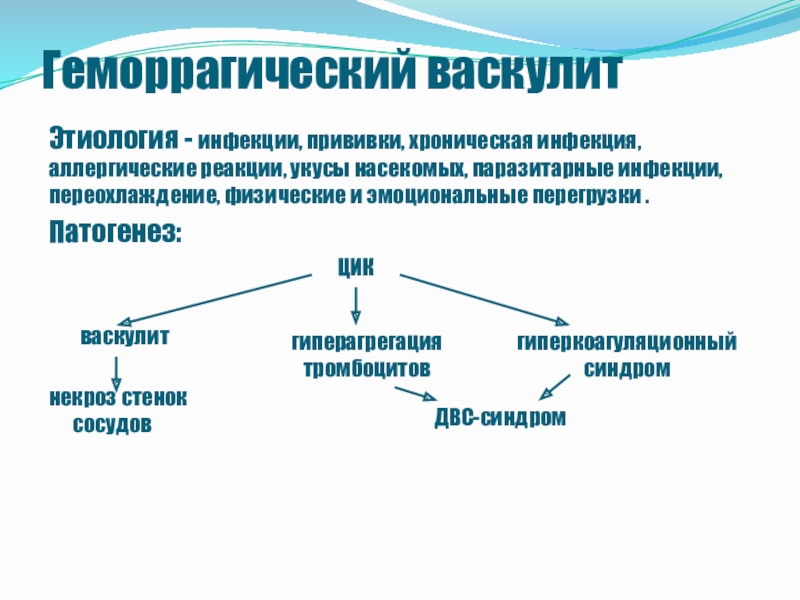 Геморрагиялық васкулит презентация