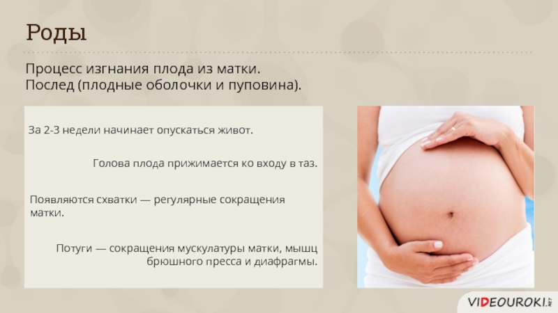 В течение месяца после рождения. Процесс изгнания плода. Процесс изгнания плода из матки процесс. Что такое потуги при беременности. Развитие после рождения.