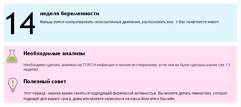 14 Недель беременности это сколько. 14 Недель это сколько месяцев. 14 Недель беременности сколько это по месяцам.