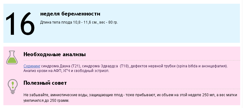 Вес на 22 неделе беременности. Вес плода в 16 недель беременности. Вес ребёнка в 16 недель беременности. 16 Недель беременности это сколько. 16 Недель беременности сколько месяцев.