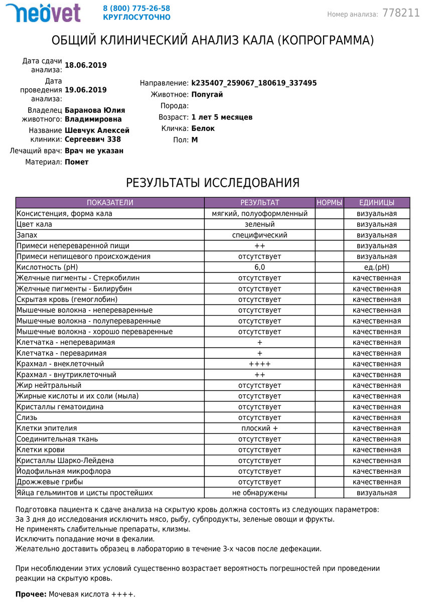 Анализ кала на сальмонеллез. Анализ кала попугая. Клинический анализ кала. Анализ кала на яйца гельминтов скрытая кровь стеркобилин билирубин. Исследование кала у попугаев.