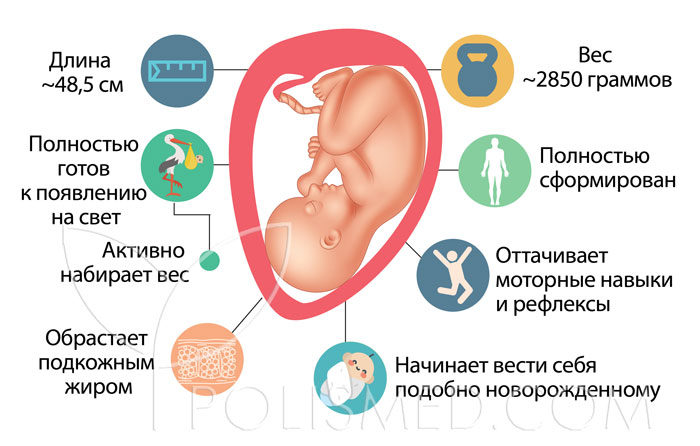 37 неделя беременности болит низ