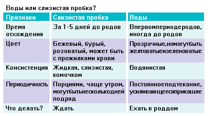 Отходит пробка когда рожать – Отошла пробка когда начнутся роды, что делать и когда ехать в роддом