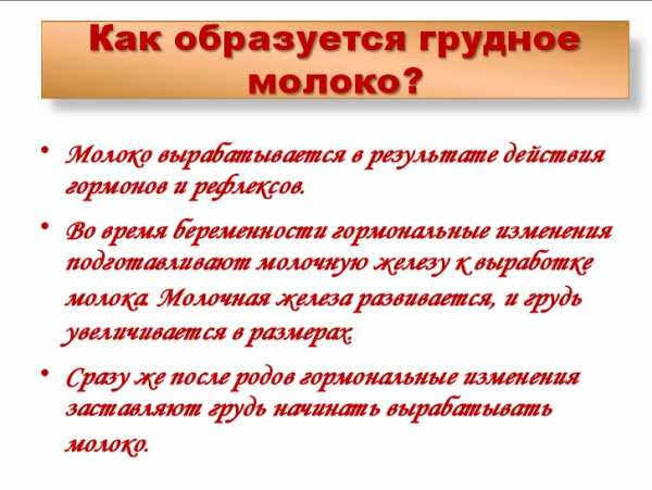 Как правильно прикладывать новорожденного к грудному вскармливанию фото