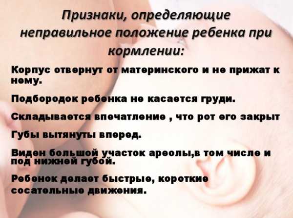 Как правильно прикладывать новорожденного к грудному вскармливанию сидя фото в домашних