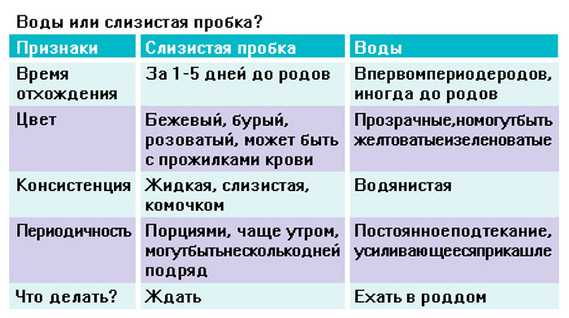 После осмотра на кресле отошла слизистая пробка