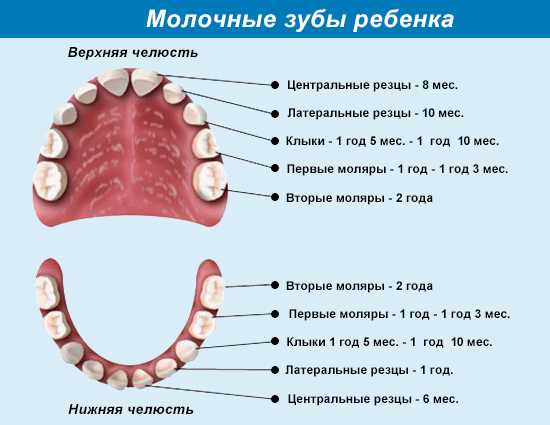 Режутся верхние зубы фото