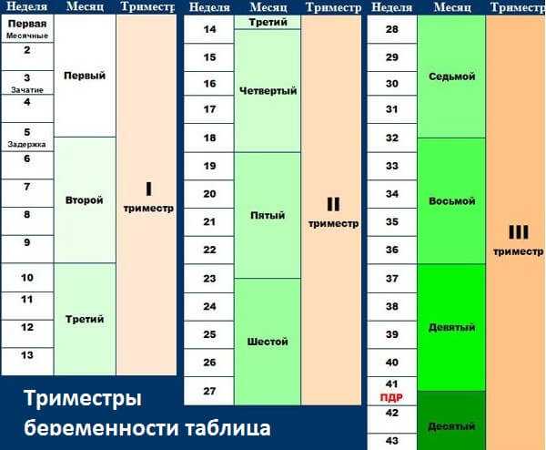 Триместры по неделям беременности таблица фото на русском