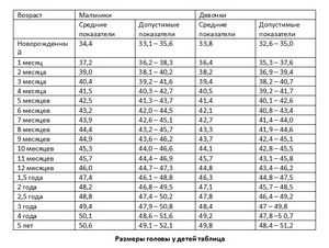 Обхват головы картинка