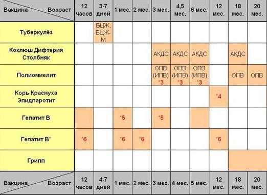 План прививок до 1 года