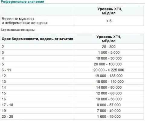 Инвитро хгч анализ фото