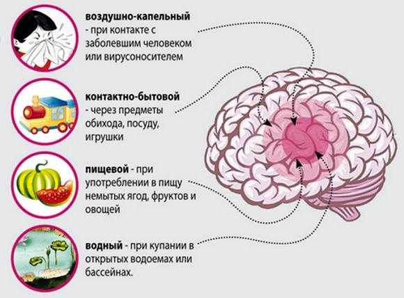 Менингококковый сепсис у детей фото