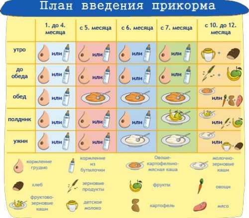 Схема прикорма с 6 месяцев при искусственном вскармливании