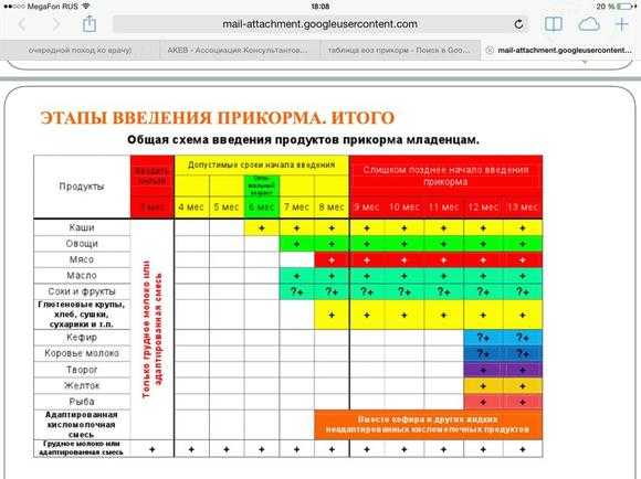 Мама зануда схема прикорма